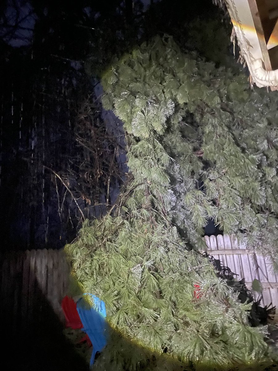 lunarjrv tweet media