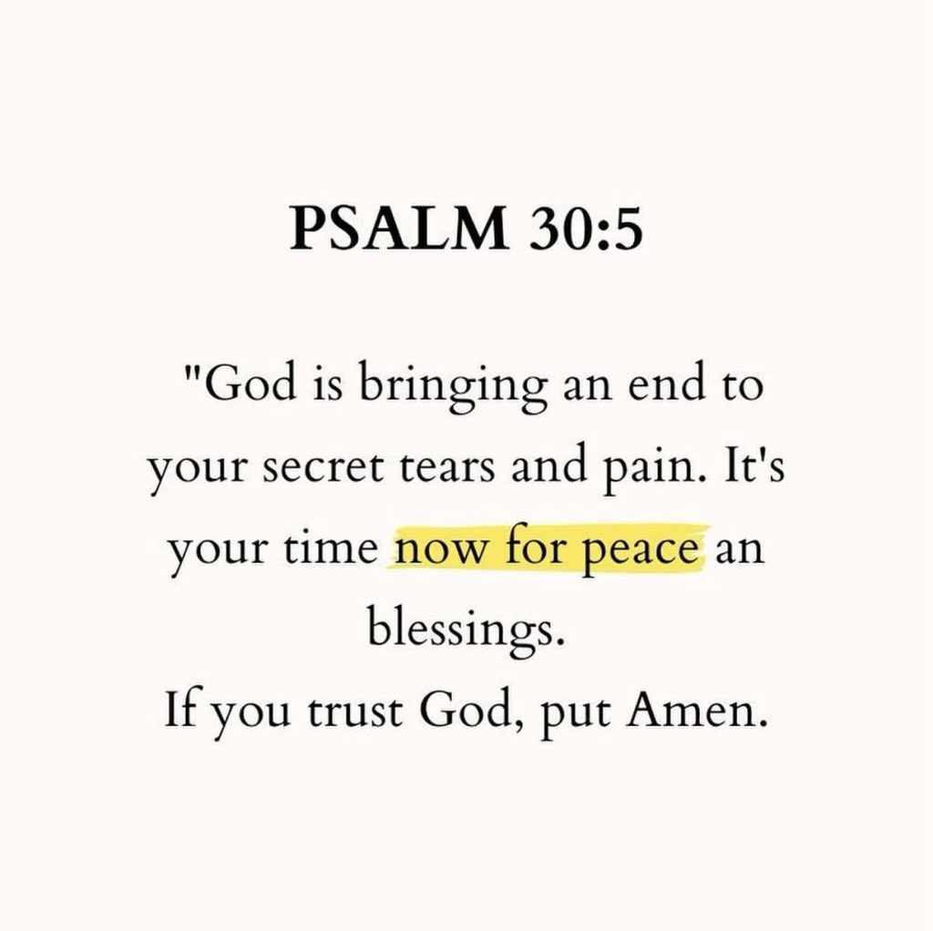 Holy Bible tweet media