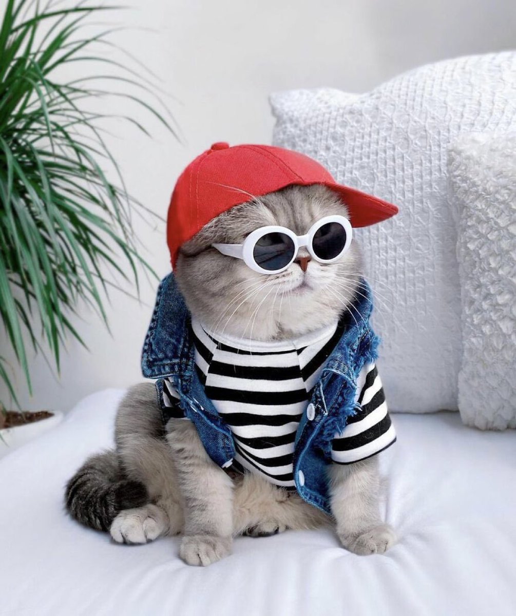 DoshiDevarsh's tweet image. Good evening