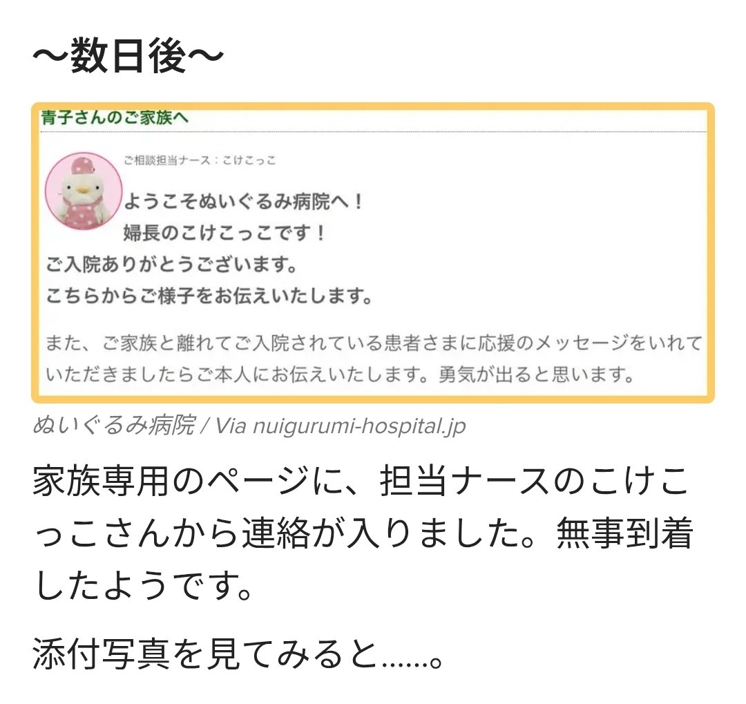 tkzwgrs's tweet photo. 【参考】「長年大事にしているぬいぐるみがあるけれど、大事にしすぎてくたびれてきちゃった」という方には、“ぬいぐるみ病院”をぜひ利用していただきたいです
ぬい活勢は感動間違いなしの紹介記事を置いときます

■大事な人形を「ぬいぐるみ病院」にあずけたら泣けた話
https://t.co/RU6GGt69W8 https://t.co/TZrvkFNNmL