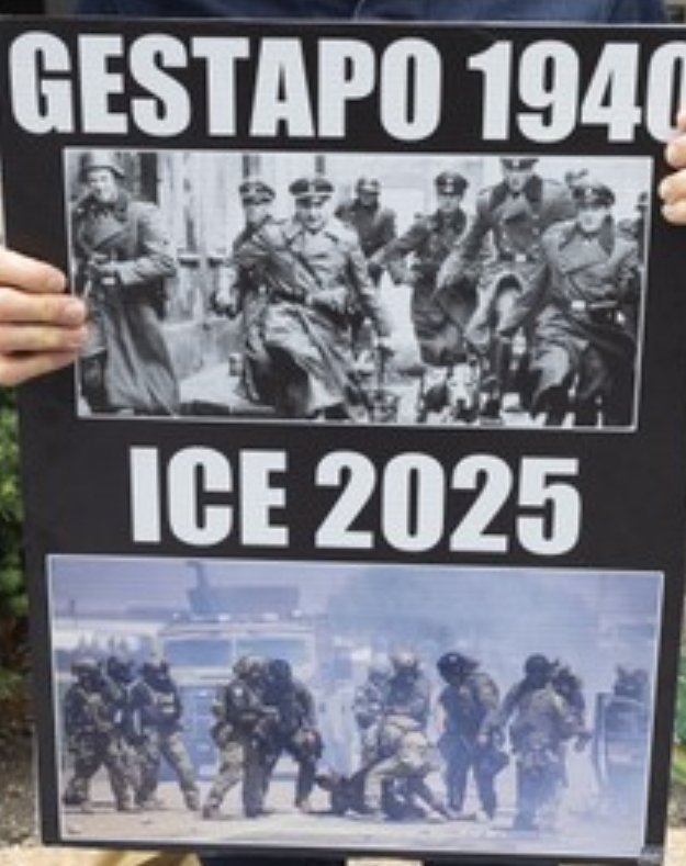 Bro Dam X (BDX) tweet media