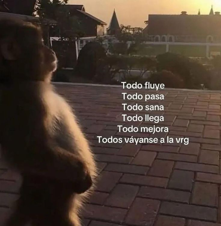 vibes (@vibesfyp) on Twitter photo 