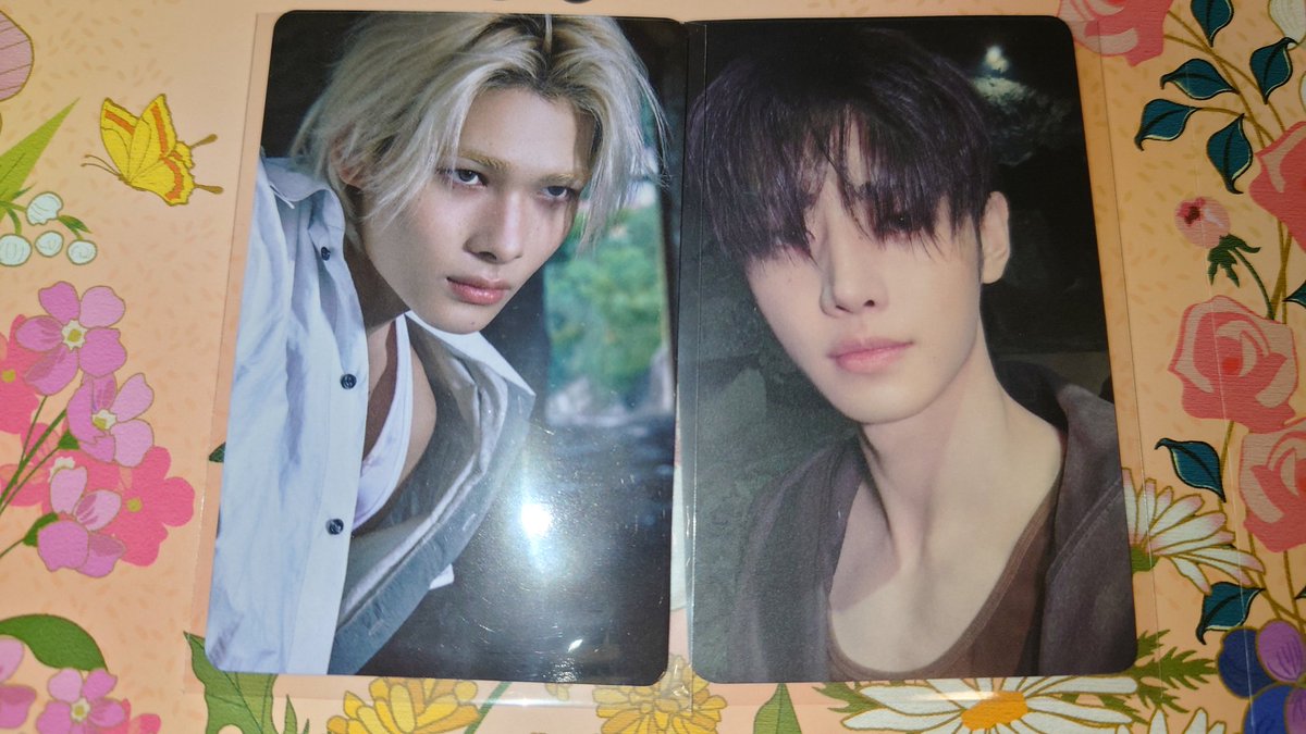 disappear1582's tweet photo. ENHYPEN THE SIN : VANISH エナプ
トレカ タワレコ ユニバ 特典  交換
⁡
【譲】 ニキ ソンフン
⁡
【求】画像   ジョンウォン
 
スリーブ 防水 折れ防止します
よろしくお願いいたします🙇
⁡
#ENHYPEN交換
#ENHYPEN譲 https://t.co/tKPHUOFReC