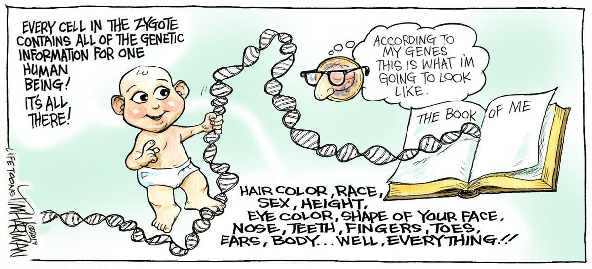 TimHartman2's tweet image. 