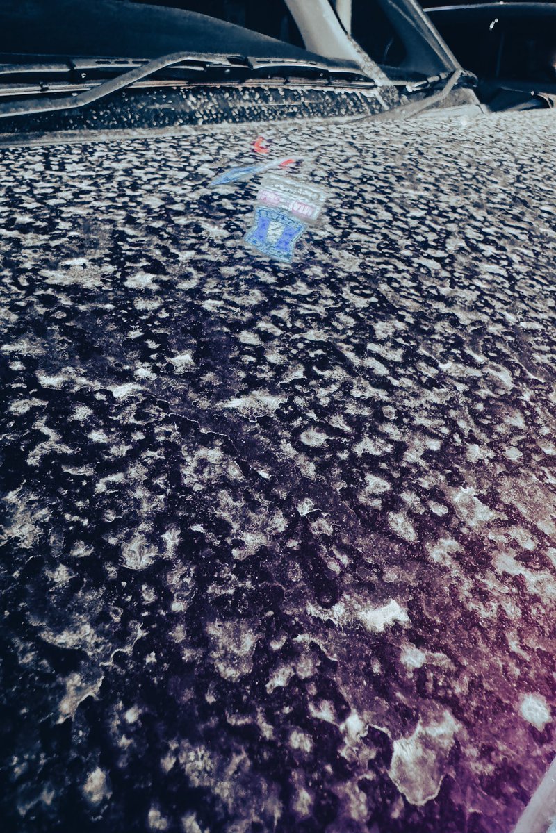 bata's tweet image. 雪のように見えますが汚れです。
洗ってあげないと…。