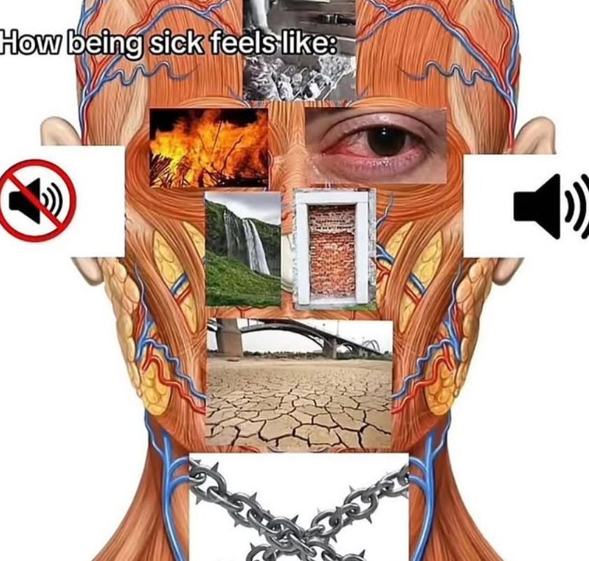 no context memes (@weirddalle) on Twitter photo 