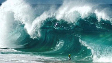 ♝ Rat's knife trick ♝ || shtwt tweet media