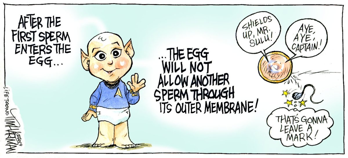 TimHartman2's tweet image. 