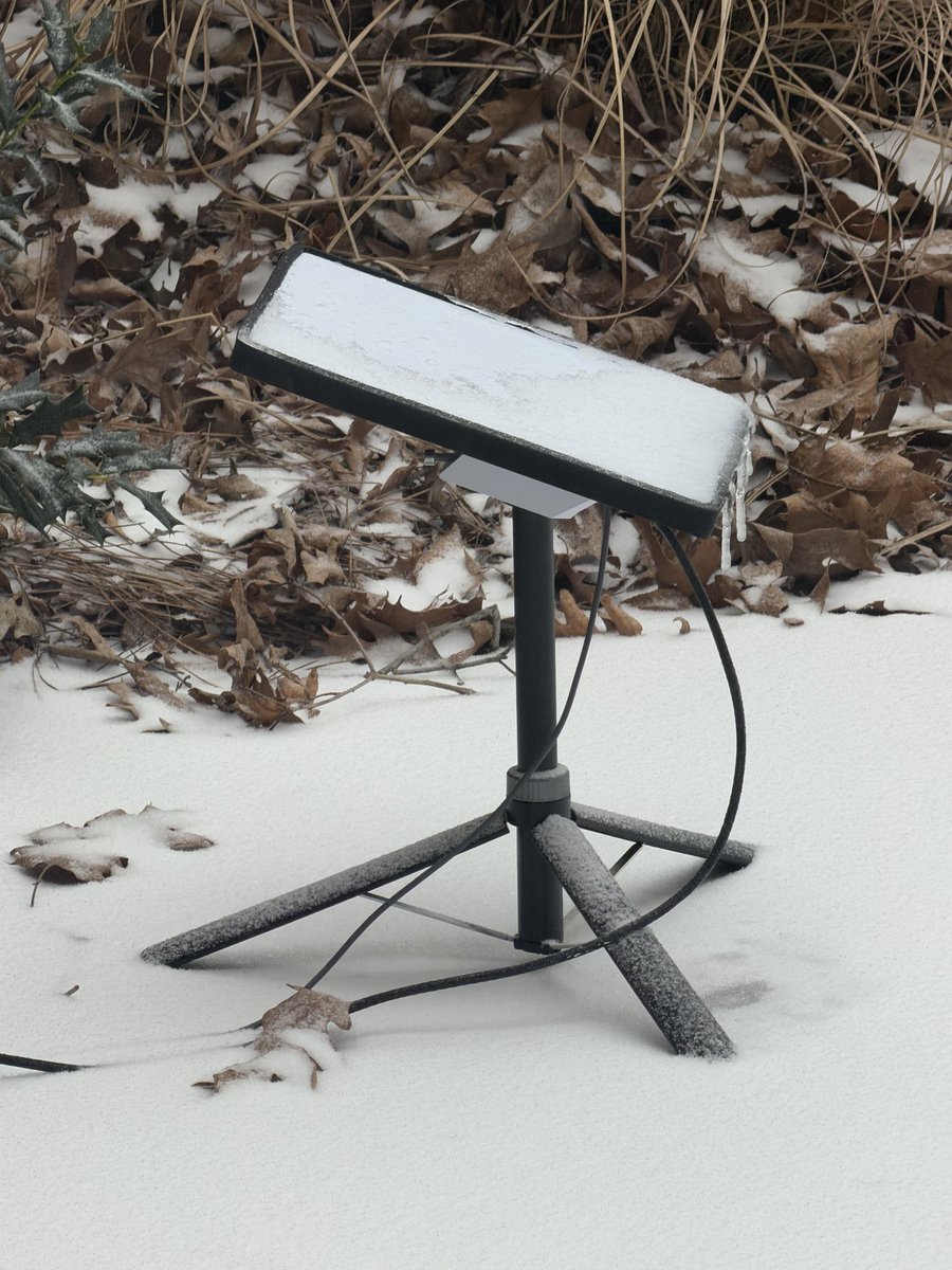 Darin Zook tweet media