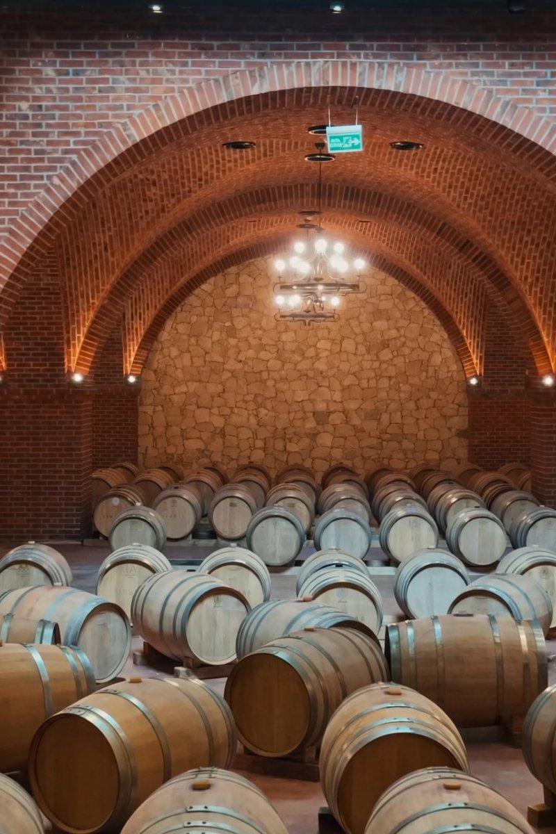 XIII_Dionysos's tweet photo. #winery 🍷 #rumelia #sunday https://t.co/2CfWocY0oM