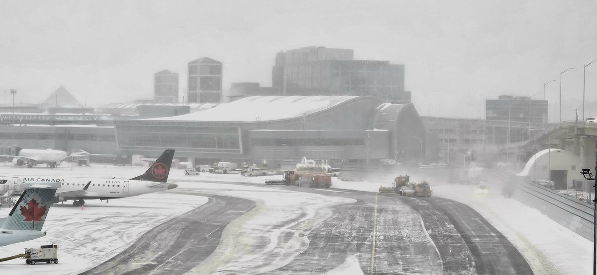 Toronto Pearson tweet media