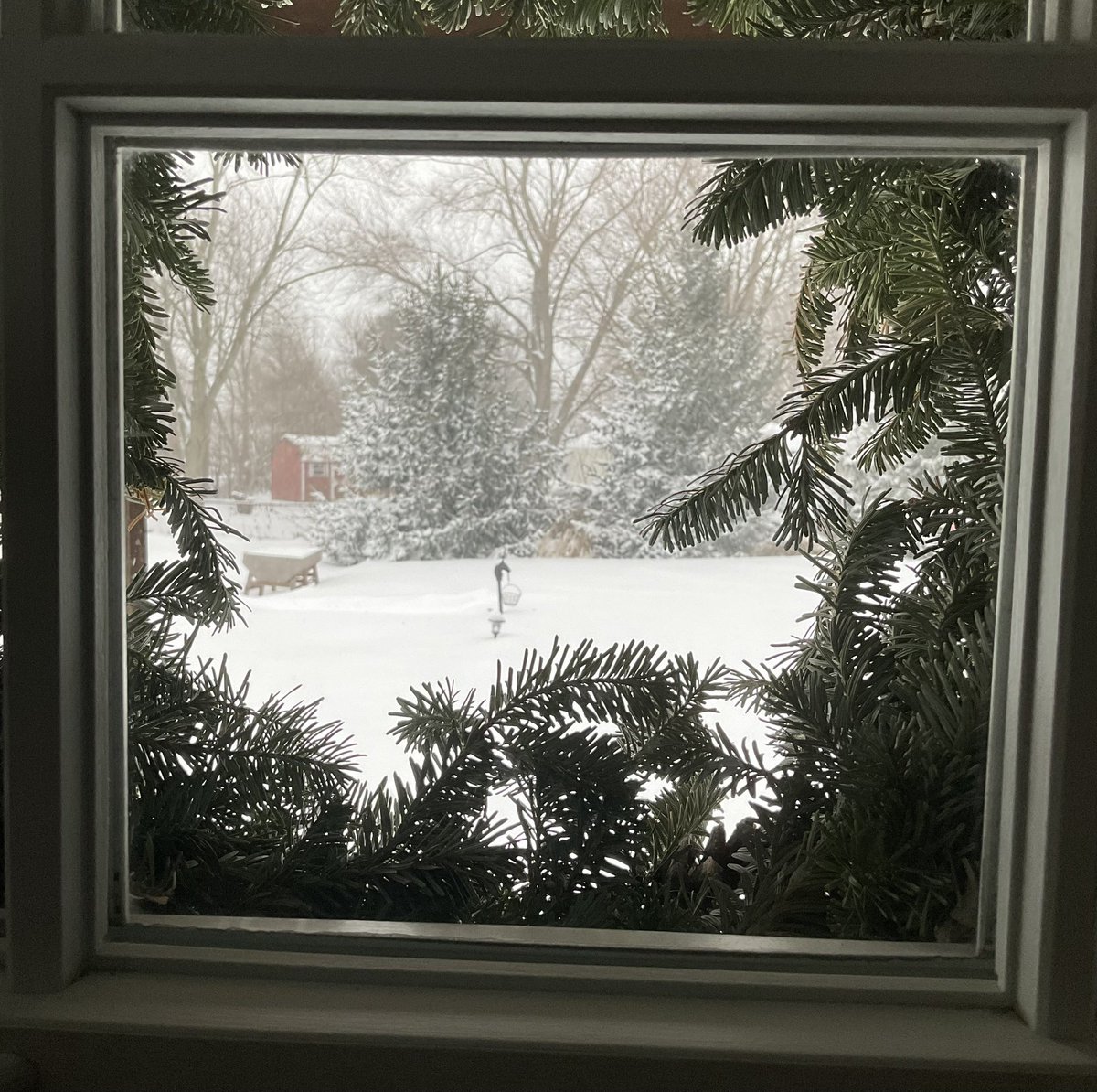 Kim Lowe tweet media