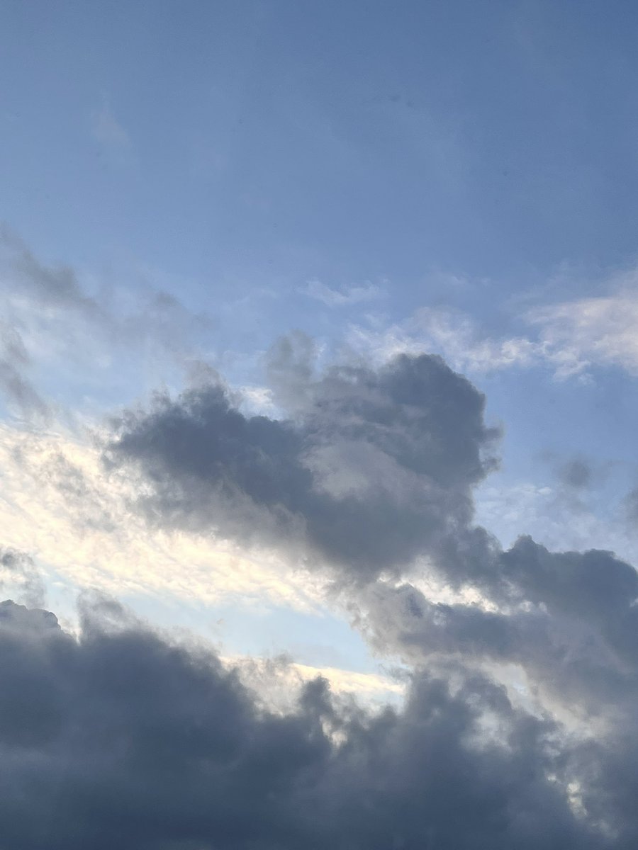 Ruru✵➇ tweet media