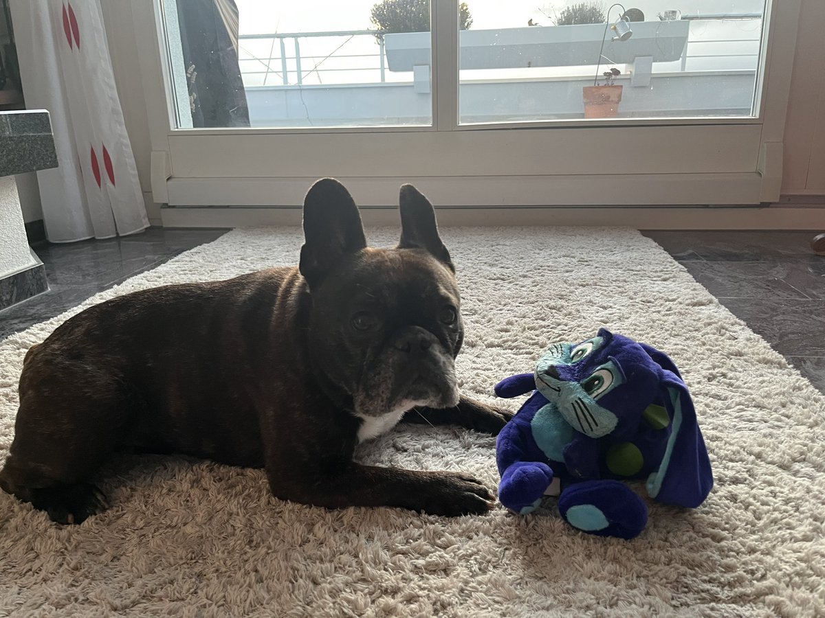 Hallo liebe Pfreunde 
Ich hab pvoll pviel zu tun mit dem Pfrauchen- wegen ihrem Baby im Bauch muss ich immer aupfpassen tun.

Und jetzt ist Herrchen noch am husten tun! Mir bleibt nigs erspart!
Passt gut aupf euch aupf😘