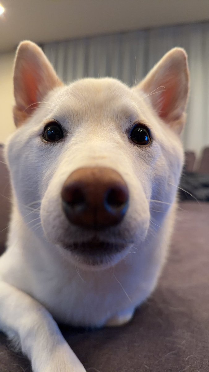 山本里菜 (@rina_y0622) / Posts / X