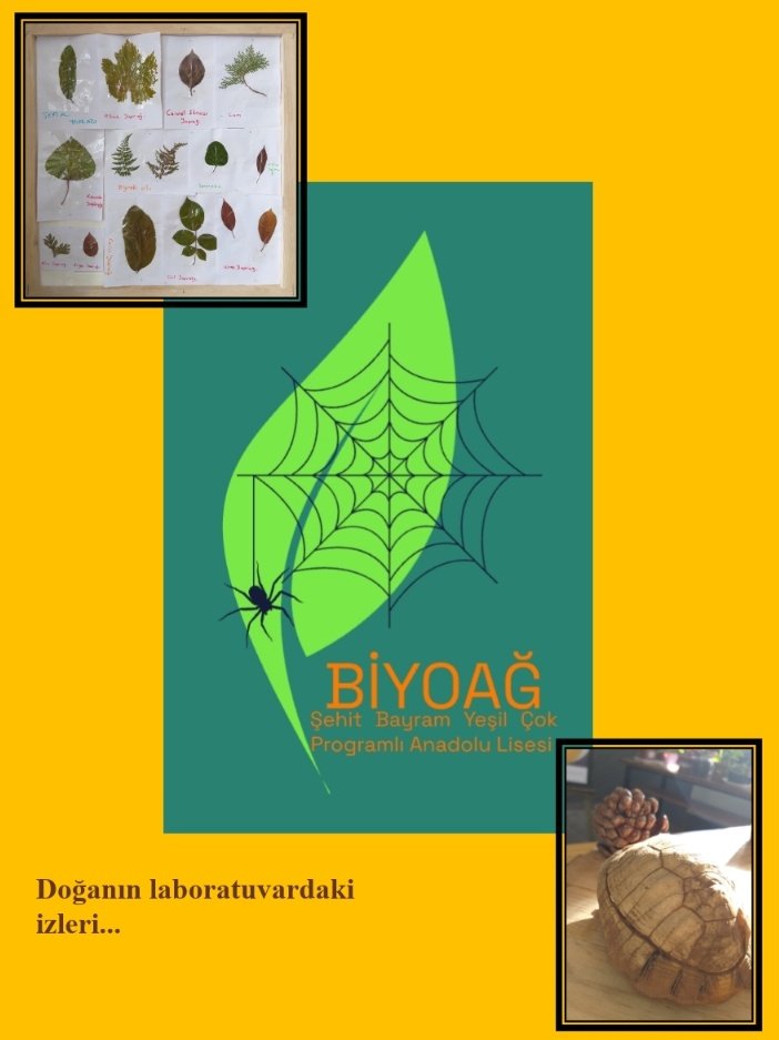 Doğanın, canlıların izlerini laboratuvara taşıyarak öğrencilerin biyoloji bilimini somut olarak öğrenmelerini sağlamak mümkün #BiyoağBiyolojiLaboratuvarı