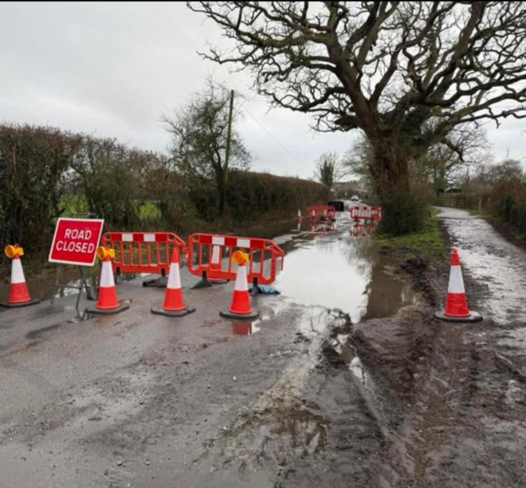 eddie mitchell tweet media