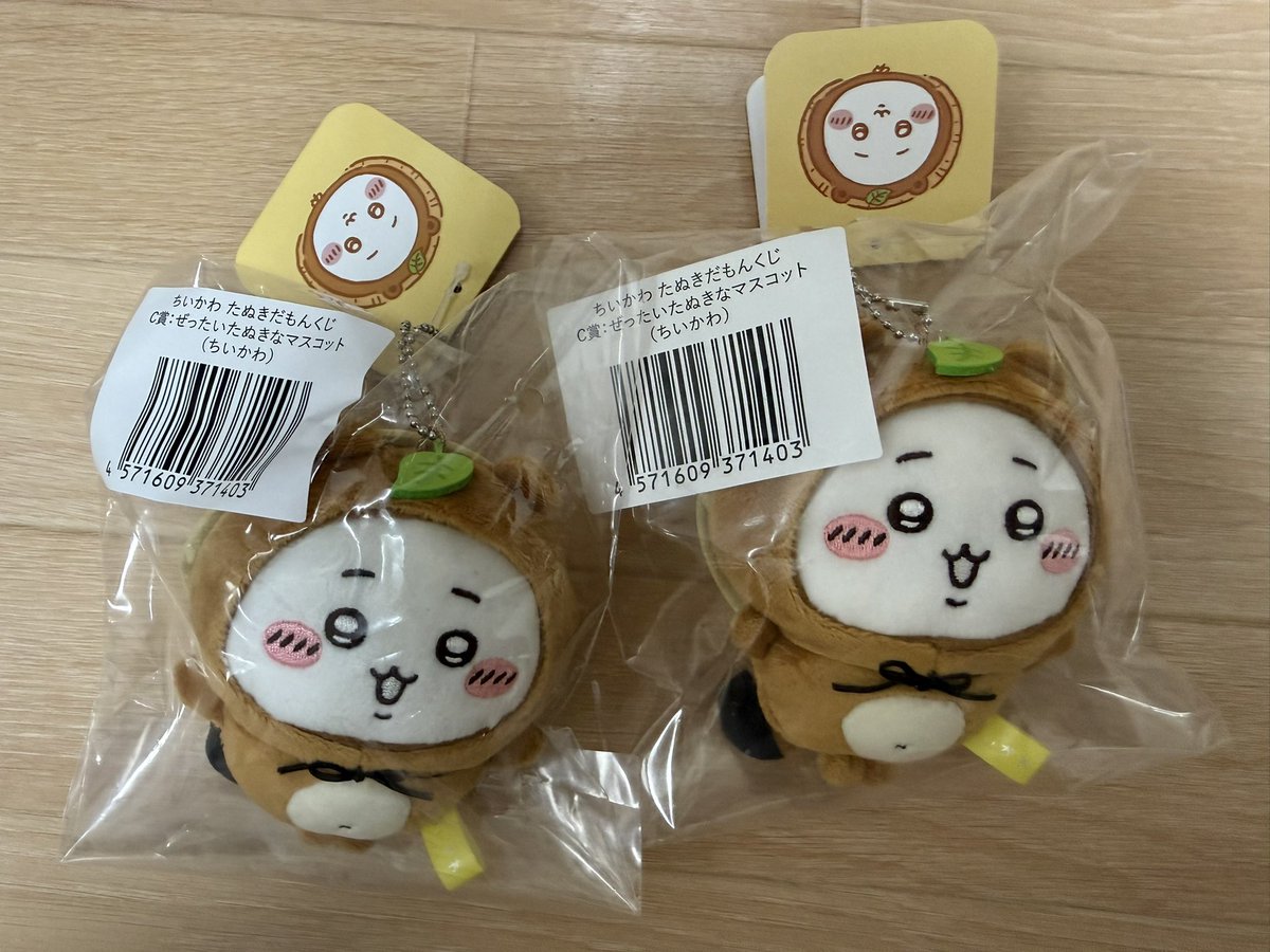 うさぎ推し tweet media