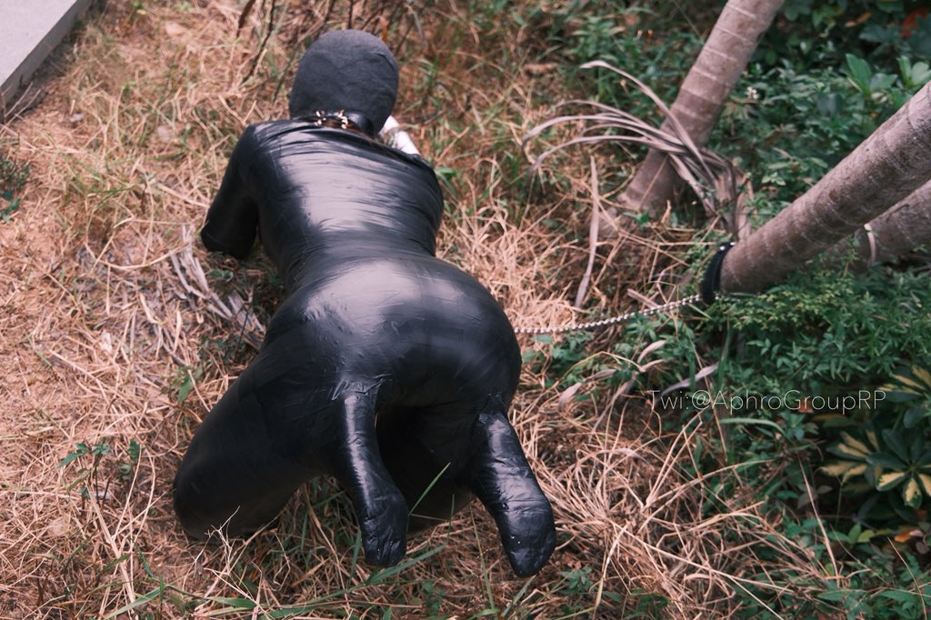 如果有不了情况的人路过，或许完全不惠明白此时拴着的到底是什么，这就是我们的全新物种——人形犬🤣
当然，拴得很牢固

#拘束 #束缚 #bondage #全包 #木乃伊 #放置 #mummy #mummified #mummification #物化 #k9 #人形犬