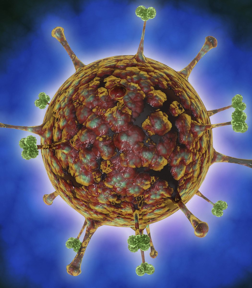 pubity's tweet image. India is scrambling to contain the Nipah virus, a lethal pathogen that has transferred to humans from bats and currently has no cure or treatment.

5 human cases are confirmed and over 100 people are already quarantined.