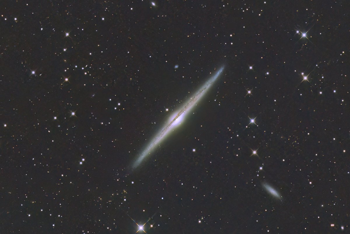 2026年1月17日に撮影した、NGC4565（かみのけ座）
です。
撮影地　花立自然公園（茨城県）
タカハシe160ED＋エクスタンダー F5.0 800mm ZWO6200MCPro EM-200TEMMA2M
300sｘ24　Gain100　－20℃　オフセット70
PixInsight　BTX　Photoshop　TopazDeNoiseAI　
約4倍トリミング