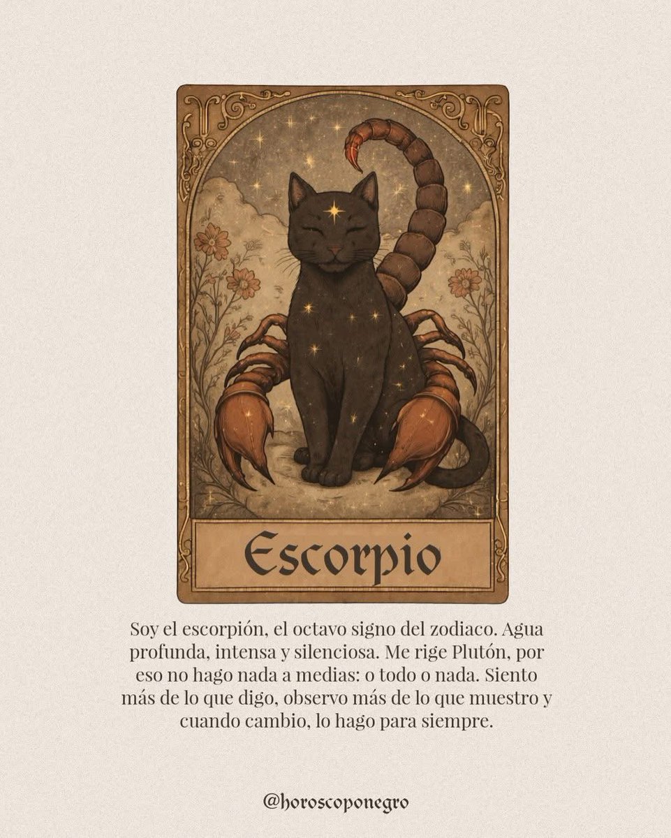 escorpio_hn's tweet image. ✨🖤✨