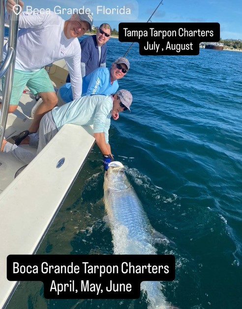 CaptRichA's tweet image. -Tampa Fishing Charters (Year-round)
-Boca Grande Tarpon Charters (April, May &amp;amp; June - NOW BOOKING FOR 2026)
-Tampa Fishing Kids Camp (Fall break, Winter Break, Spring Break &amp;amp; Summer Break)
-Corporate Fishing Outings (No size to big)

#lfg #letsfish #itstime #gotime #florida…