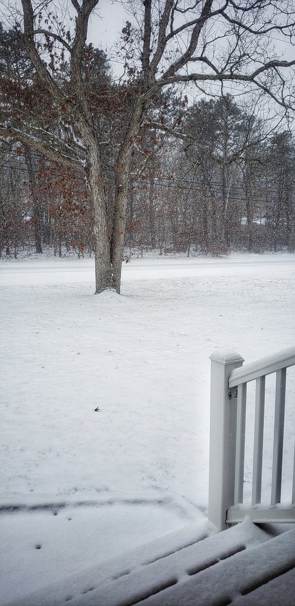 Sapo Man Photography 😃 tweet media