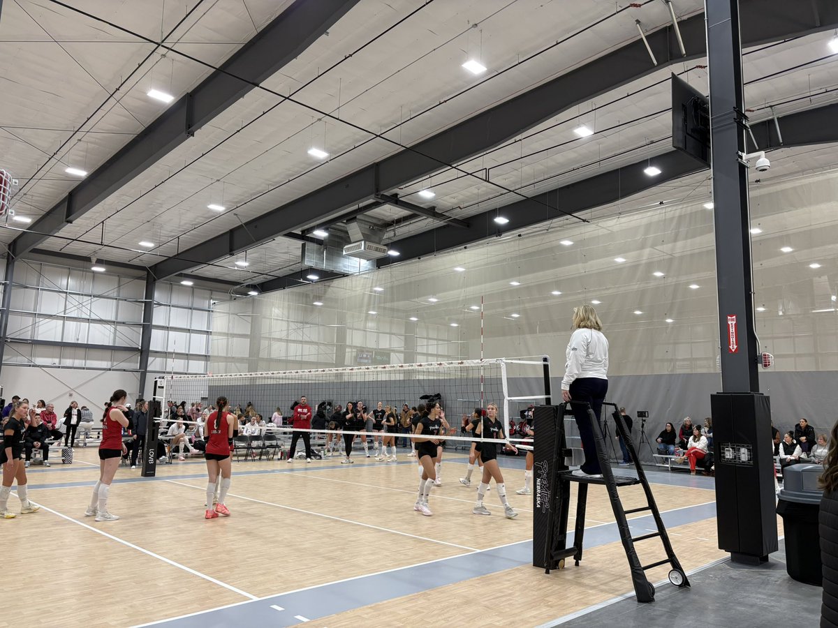 Austin Kingsley tweet media