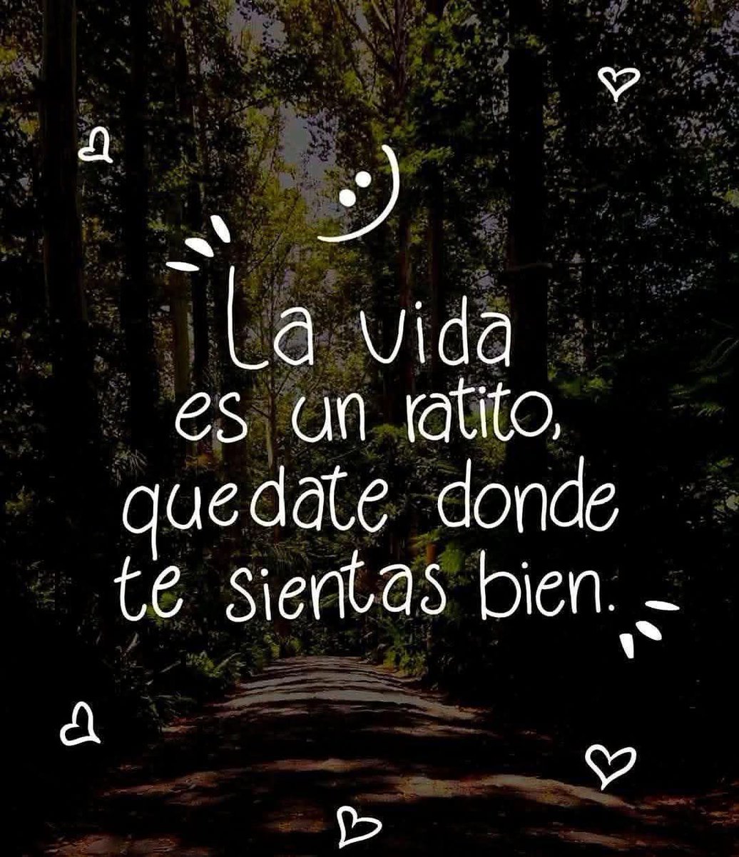 Carlos H. C. (@carlos01global) on Twitter photo 