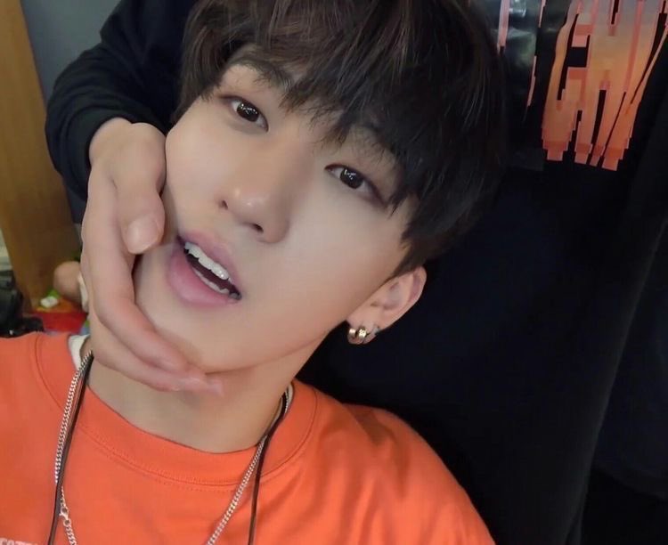 panicv4mpss's tweet image. missing my baby #strayselcaday #ssd #changbin #skz