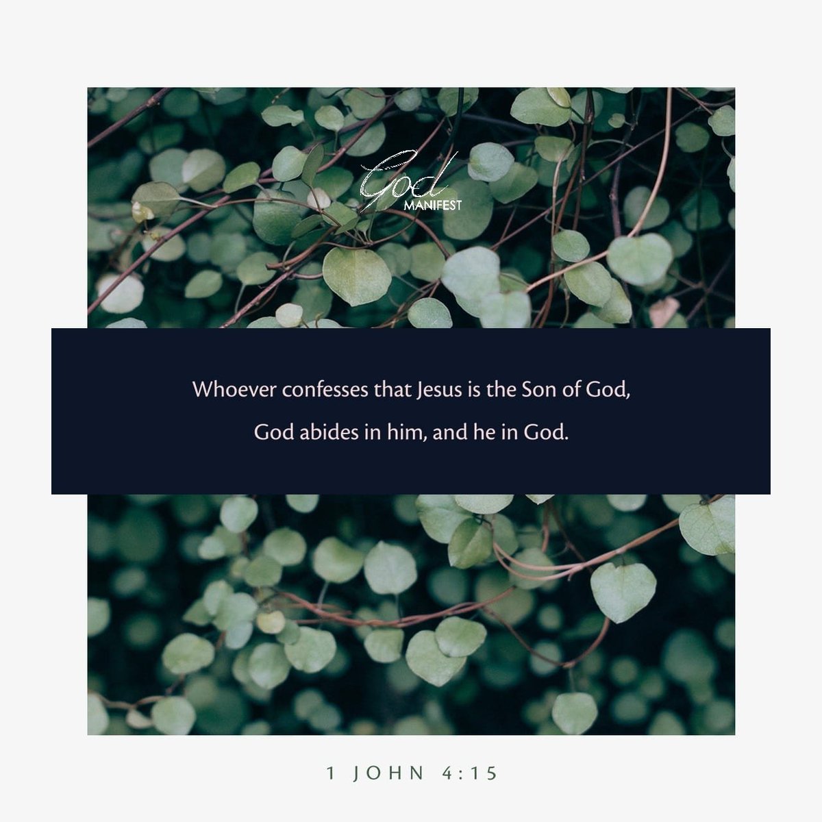 1 John 4:15 NASB
Whoever confesses that Jesus is the Son of God, God abides in him, and he in God. 

#jesus #jesuschrist #JesusIsLord #ChristisKing #JesusSaves