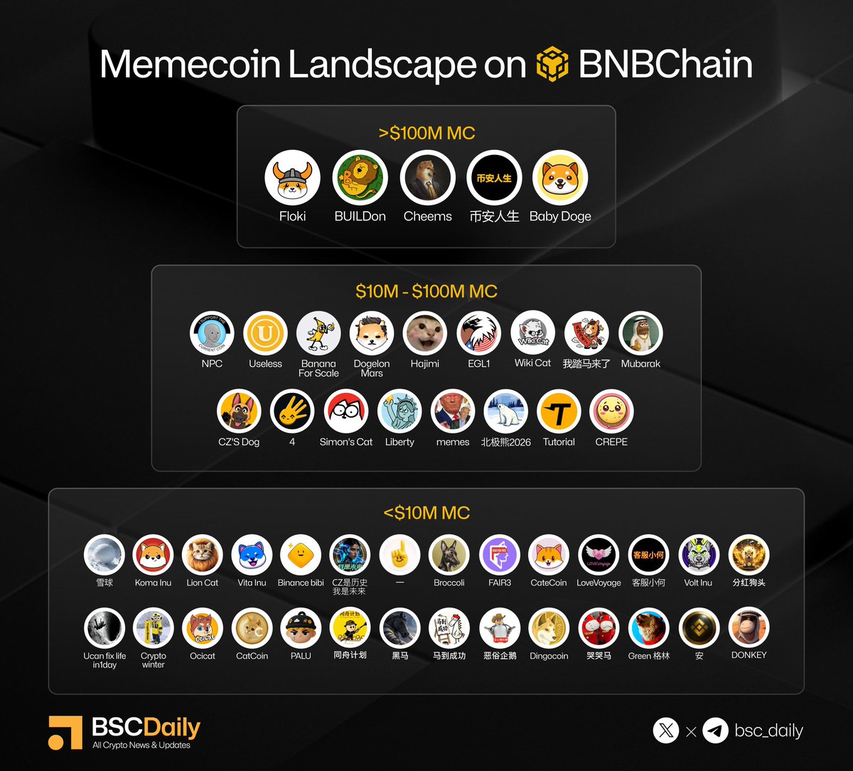 BSCDaily tweet media