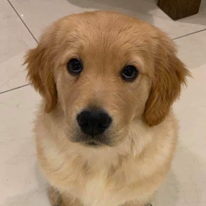 ipearty's tweet image. ปุปุน้าอ้วง มะม๋าหุวหยอง 🫳🏻