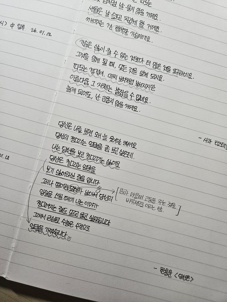국내산체리 tweet media