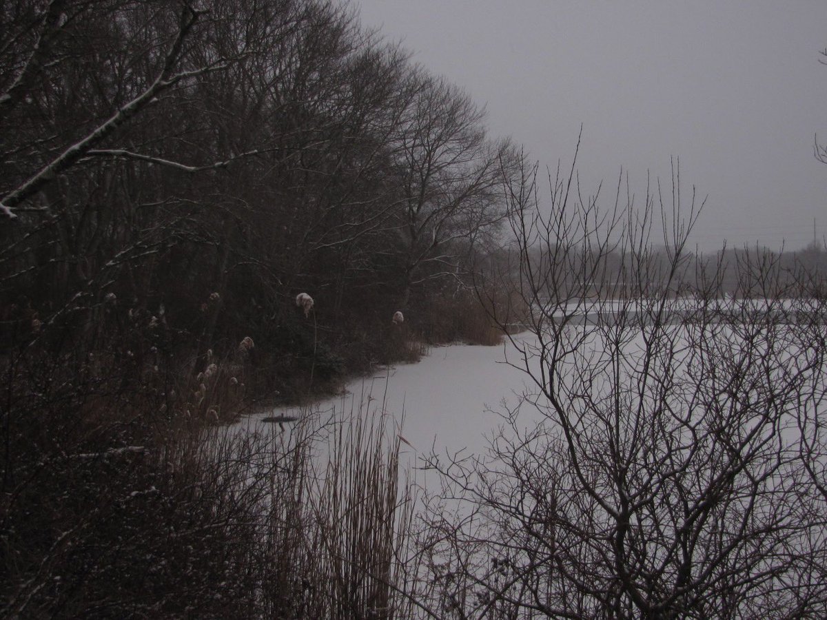 vin (@02void) on Twitter photo 