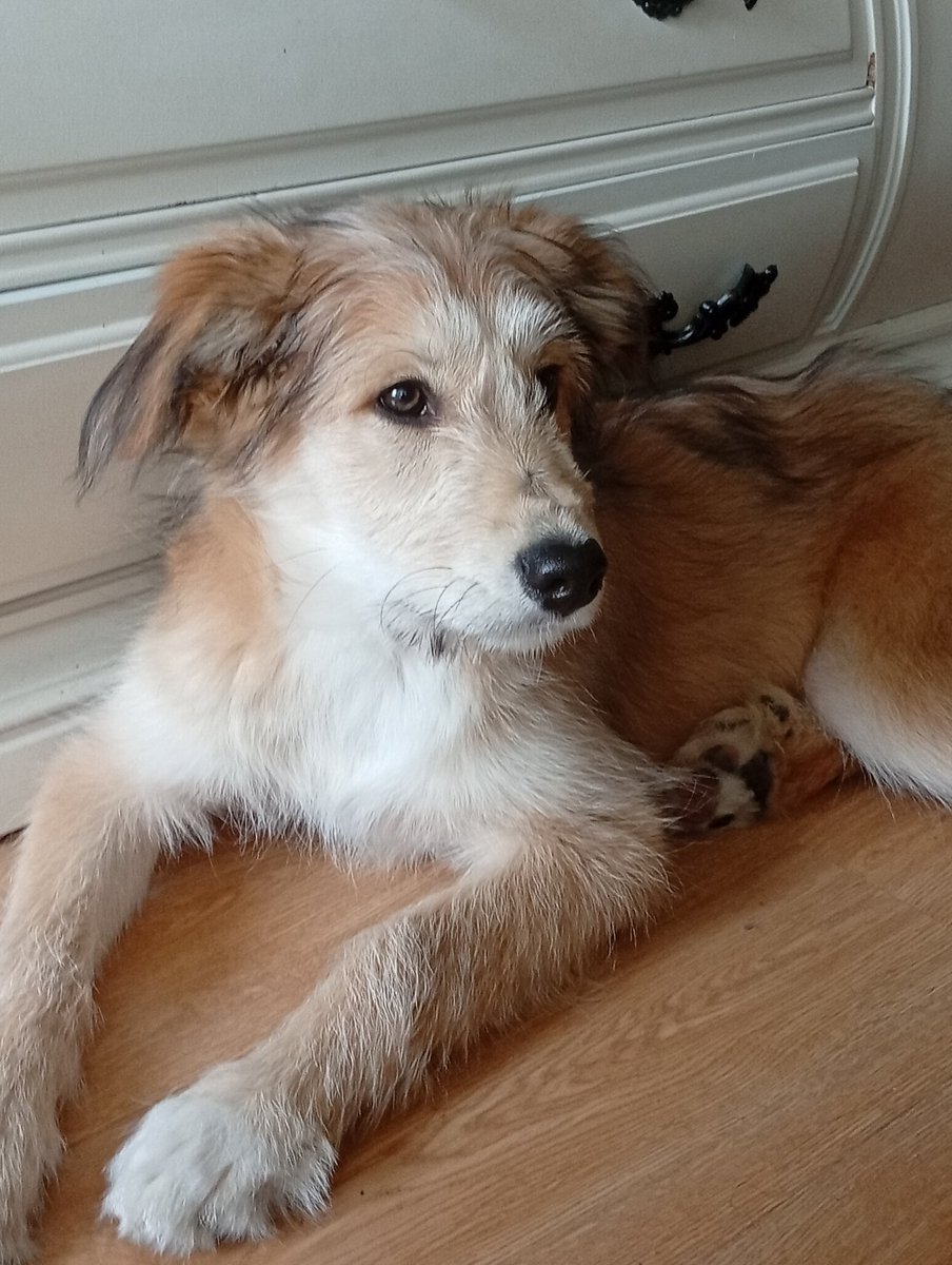 lucalucaeluca tweet media