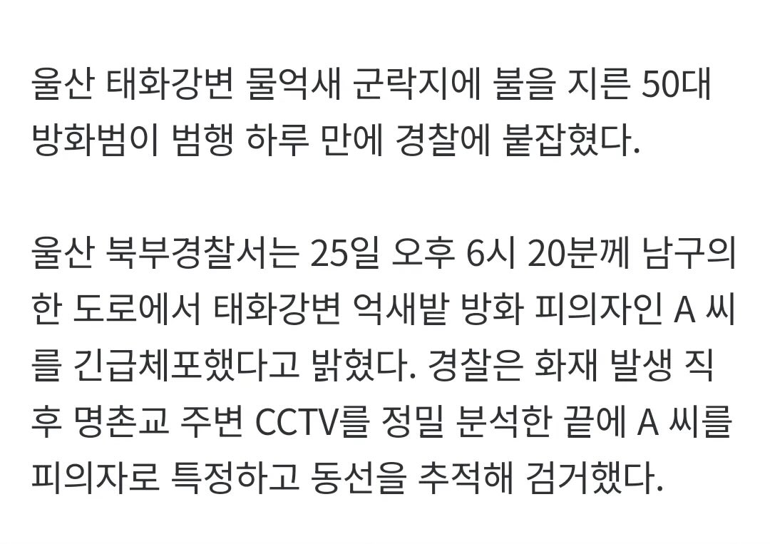 울산 태화강 억새밭에 불 지른 50대 남성 긴급체포.