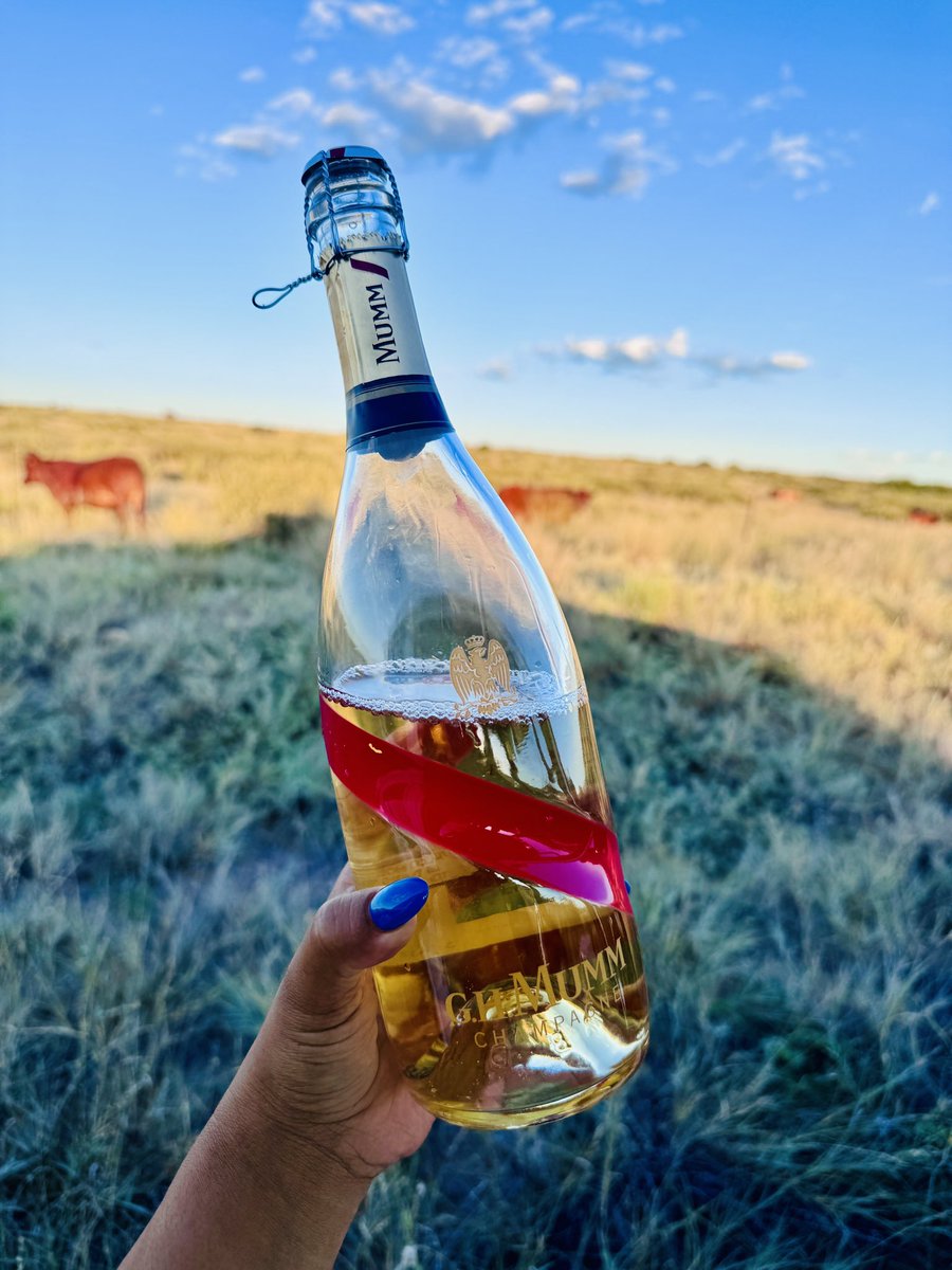 mrsdarkie's tweet photo. Farm Life 🤏🏾🫶🏽 https://t.co/u5Bn3v1cQ5