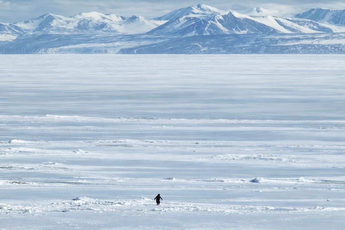 Engin Geçtan hoca vaktiyle demiş ki:
"İşler yolundaymış gibi yaşayanlar. Yani mış gibi yapanlar. Evinde yalnız kalamayanlar, sürekli çalışanlar, durmaksızın koşturanlar, uyuşturucusu 'hız' olanlar. İçimizdeki boşluk sözünü ettiğim. Bir şeylerle sürekli doldurmaya çalışıyoruz."