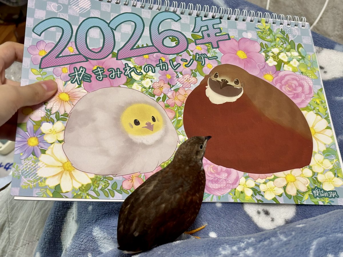 瓶詰めJAM☂️🌱 (@ja6m6) on Twitter photo 