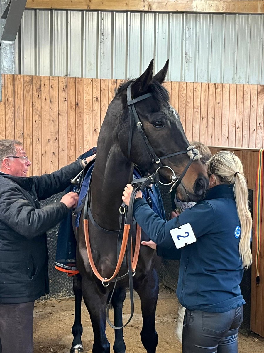 Racing To Profit Syndicate tweet media