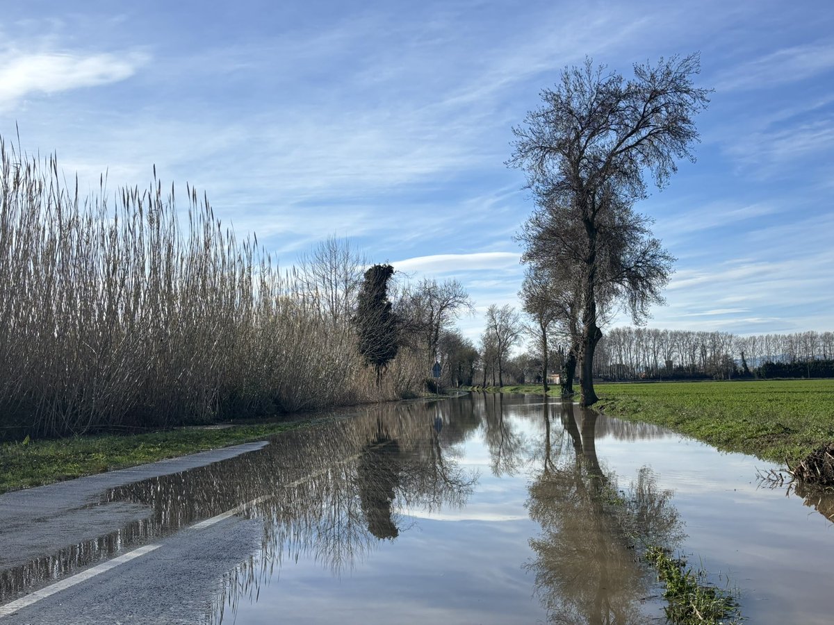 ajperalada's tweet image. 🌧️ PLA INUNCAT PERALADA
ACTUALITZACIÓ ESTAT DE CARRETERES
🚧 Vials tallats:
• C-252 (Peralada – Vilabertran)
• Pas Fort (Vilanova – Vilasacra – Vilatenim)
• Tots els passos sobre rius i rieres
🚧 Vials reoberts:
• Carretera Peralada – Mollet
⚠️ Màxima precaució.