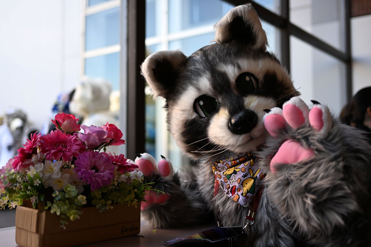 久々にJMoFで会えてよかった🦝

アンラクさん <a href="/NROCKRaccoon/">NROCK (アンラク) (앤락이) 🦝 🔜FURST CLASS🇰🇷</a>