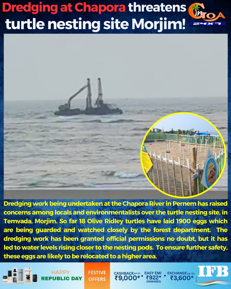 InGoa24x7's tweet photo. Dredging at Chapora threatens turtle nesting site Morjim!

#Goa #GoaNews #Dredging #Threatens #TurtleNesting #Chapora https://t.co/WOiqdbDTY6