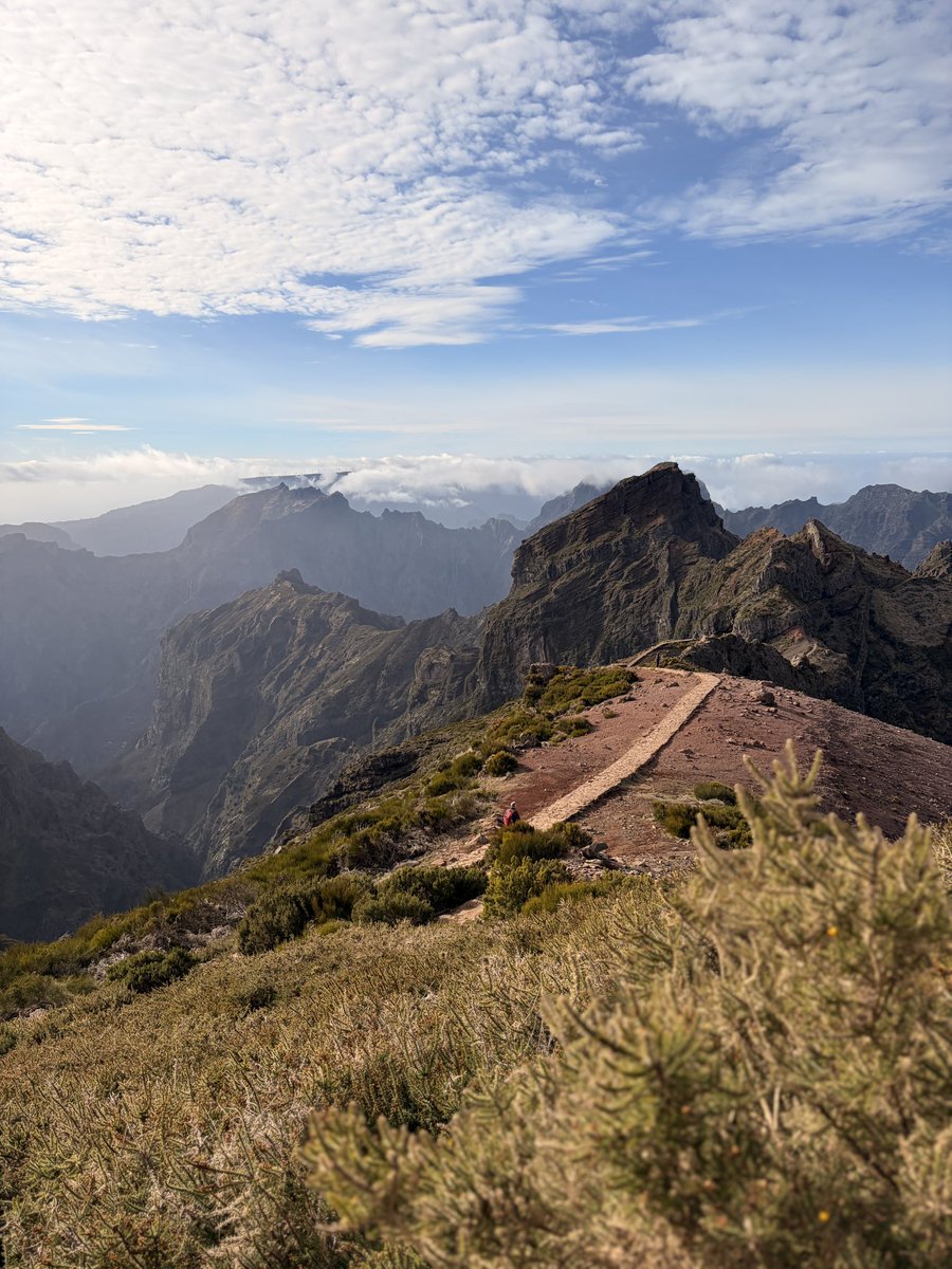 DawnArda's tweet image. The most difficult thing is the decision to act, the rest is merely tenacity. 🌳

~ Amelia Earhart

#NewYearsResolutions #Growth