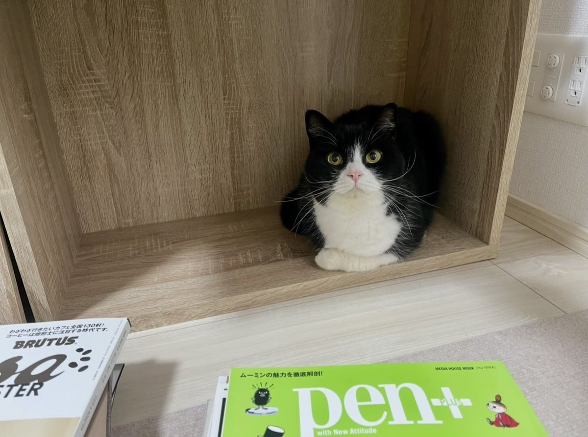 たろう (@taro20216) / Posts / X