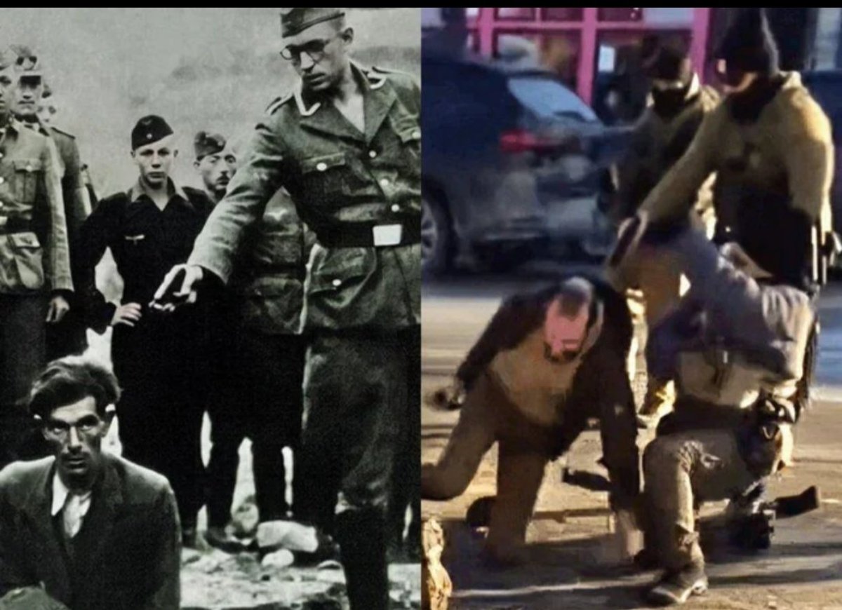 Kadi🇪🇪🌻 tweet media