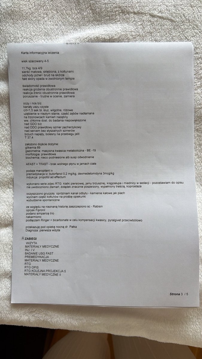 Marianna Schreiber tweet media