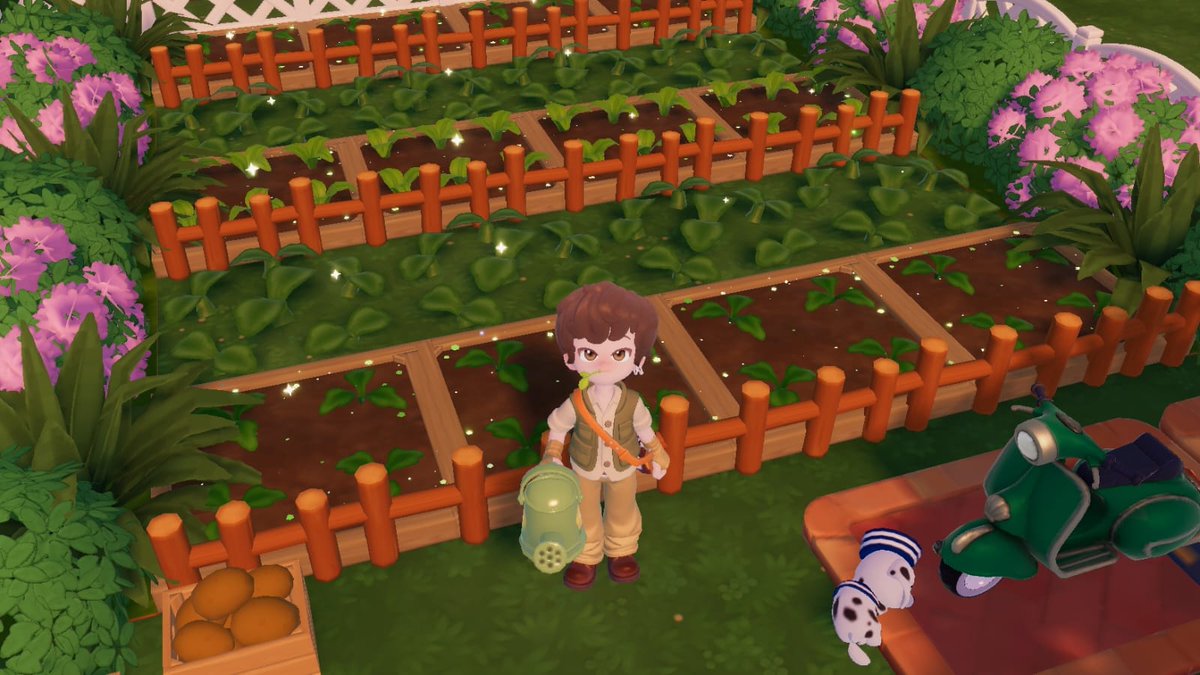 santaii hehe doing anything that I like~ love decorating, fashion, and anything that's cute!
sampe bikin dua akun buat OCs ku 🤍